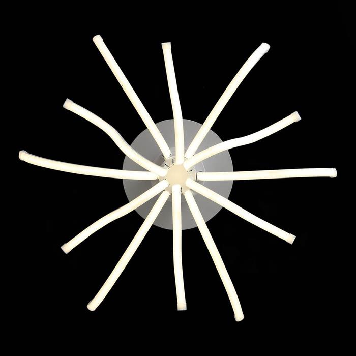 Потолочный светодиодный светильник ST Luce Finde Art. SL826.502.12