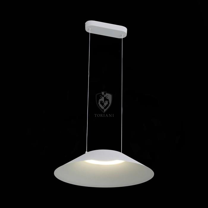 Подвесной светодиодный светильник ST Luce Pitto Art. SL427.513.01