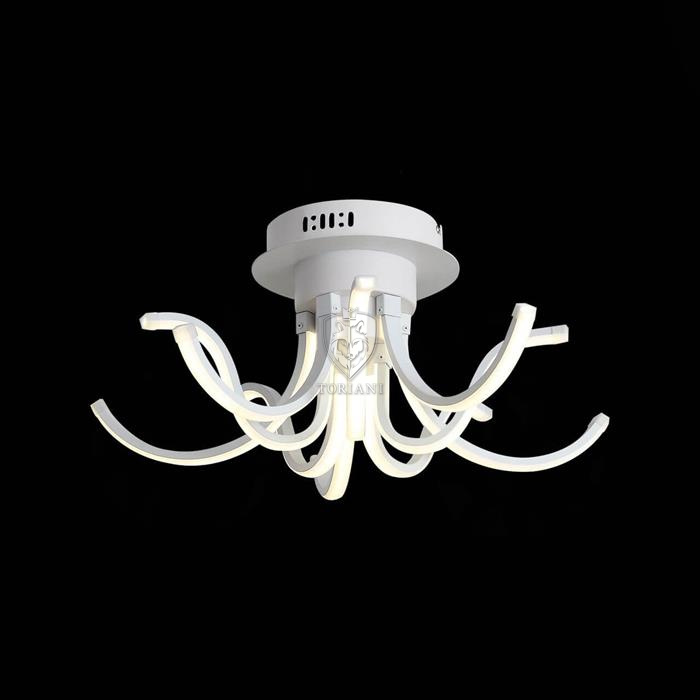 Потолочный светодиодный светильник ST Luce Finde Art. SL826.502.10