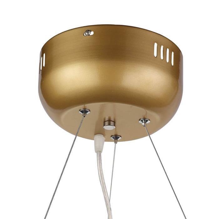Подвесная люстра ST Luce Riccardo Art. SL411.243.45
