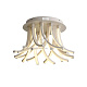 Потолочная светодиодная люстра ST Luce Filiali Art. SL827.502.20