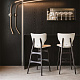 Барный стул DUMBO Cattelan Italia Art. 1