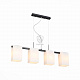 Подвесная люстра ST Luce Caset Art. SL541.403.04