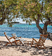 Шезлонг Cruise Art. CRSDT1/CRCUSDA1 в салоне Toriani