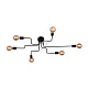 Потолочная люстра ST Luce Ano Art. SL419.442.06