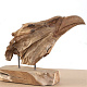 Статуэтка Teak Eagle UT17086 