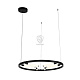 Подвесная светодиодная люстра ST Luce Bisaria Art. SL393.403.06