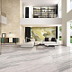 Гранит керамический ASSINIS GREY Art. D126 5884 BM
