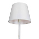 Настольная лампа ST Luce Portuno Art. SLE301.404.01