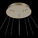 Подвесная светодиодная люстра ST Luce Erto Art. SL904.203.03
