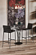 Барный стул ISABEL ML Cattelan Italia