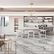 Гранит керамический ASSINIS GREY Art. D126 5884 BM