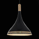 Подвесной светильник ST Luce Art. SL710.103.01